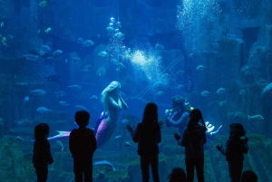 Paris: Explorer Pass com 3, 4, 5, 6 ou 7 atracções