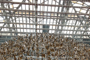 Paris: Enchanting Rooftop Discovery Amidst the City of Light
