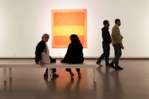 Paris: Ingresso Premium para a Fondation Louis Vuitton