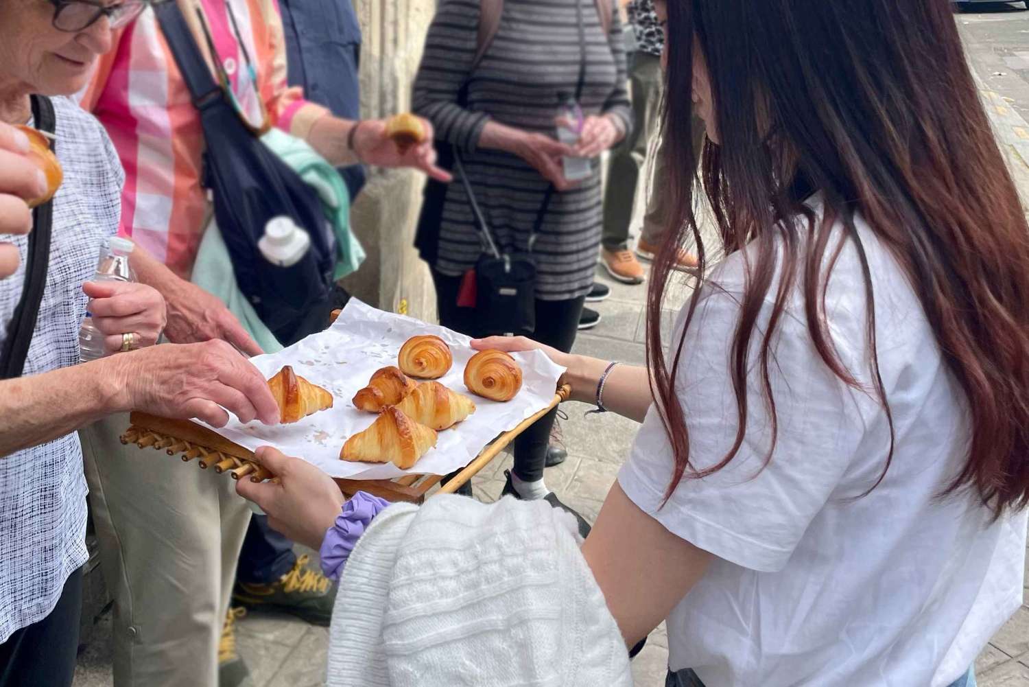Paris : visite d'une jounée avec un guide de la région