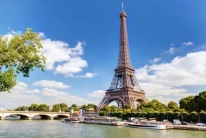 Paris: Full-Day Luxury Car Tour & Musée du Quai Branly