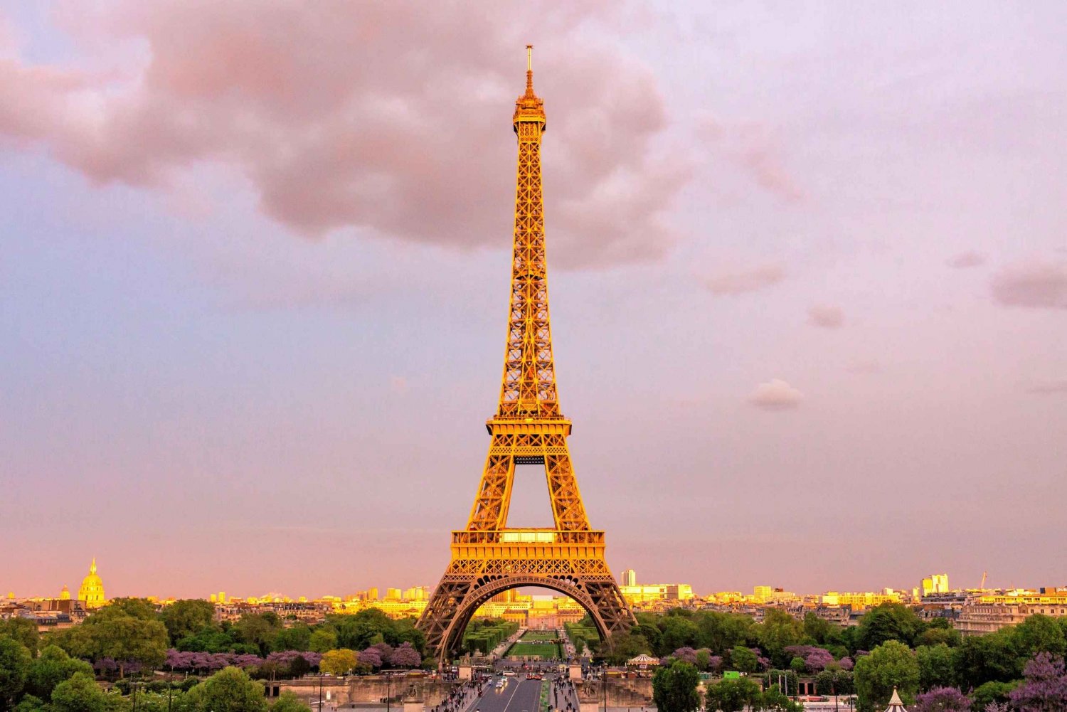 Paris: Private Full-Day History and Sightseeing Tour