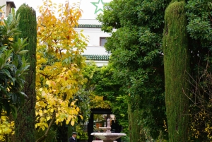 París: visita guiada a la Gran Mezquita y los jardines secretos