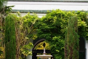 París: visita guiada a la Gran Mezquita y los jardines secretos