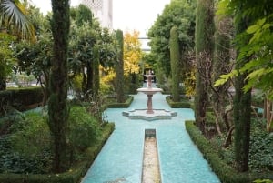 París: visita guiada a la Gran Mezquita y los jardines secretos