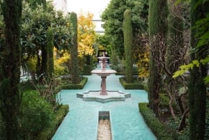 París: visita guiada a la Gran Mezquita y los jardines secretos