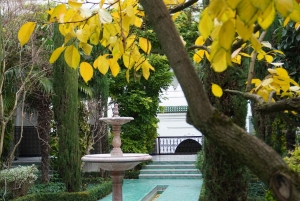 París: visita guiada a la Gran Mezquita y los jardines secretos