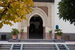 París: visita guiada a la Gran Mezquita y los jardines secretos