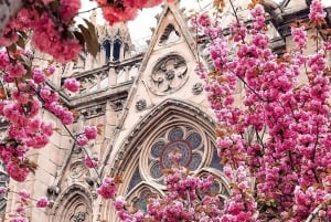 Paris: City Highlights Private Tour