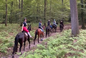 Paris: Aumont-en-Halatte Horseback Riding Tour