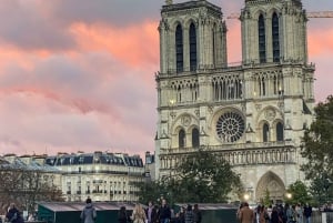 Paris: excursão a pé pela Île de la Cité e Notre-Dame com cripta