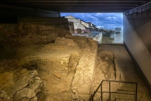 Paris: excursão a pé pela Île de la Cité e Notre-Dame com cripta