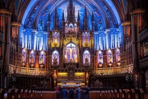 Paris: Ile de la Cité Tour + reservierter Zugang zur Notre-Dame