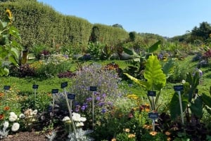 パリ：ラテン地区ウォーキングツアー（ノートルダム大聖堂優先入場券付き）