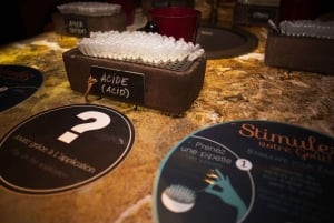 Paris: Les Caves du Louvre Guided Tour with Wine Tastings