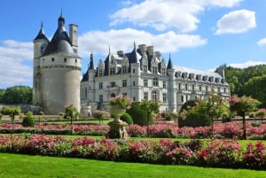 Parijs: Kastelen Tour in de Loire-vallei met wijnproeverij