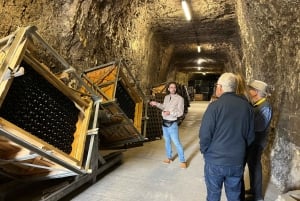 Parijs: Kastelen Tour in de Loire-vallei met wijnproeverij