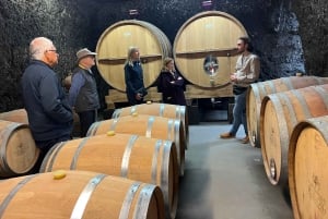 Parijs: Kastelen Tour in de Loire-vallei met wijnproeverij