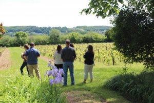 Paris: Loire Valley Chambord Castle, Wine Tasting & Lunch