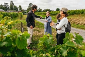 Париж: Долина Луары, замок Шамбор, дегустация вин и обед