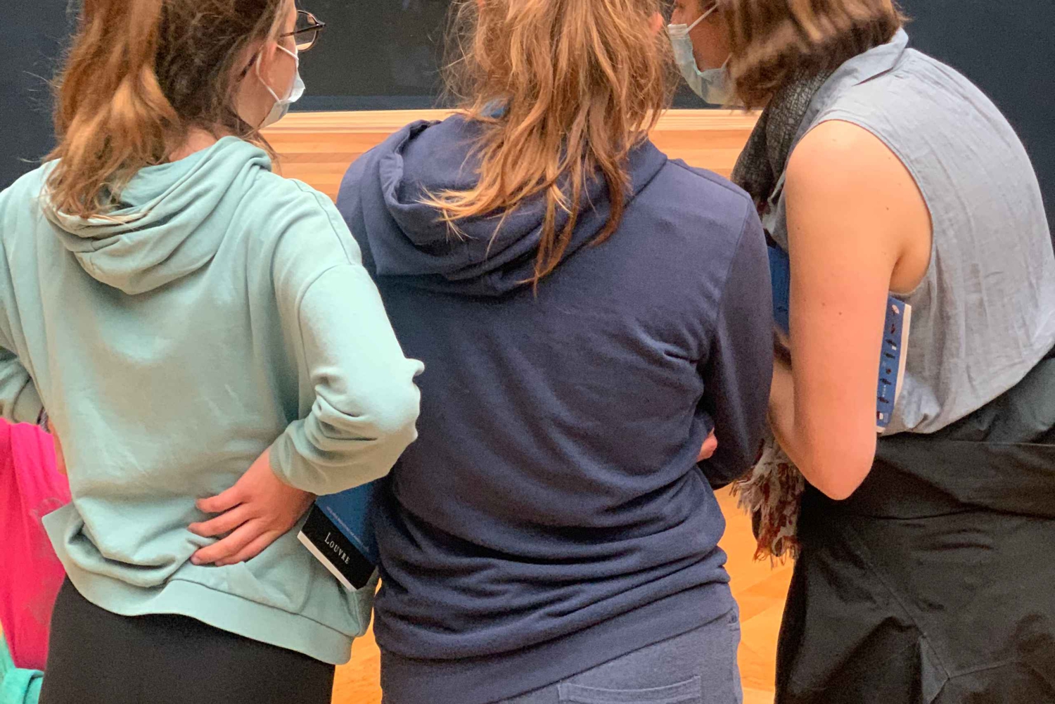 París Louvre: Tour privado de 2 horas para grupos o familias