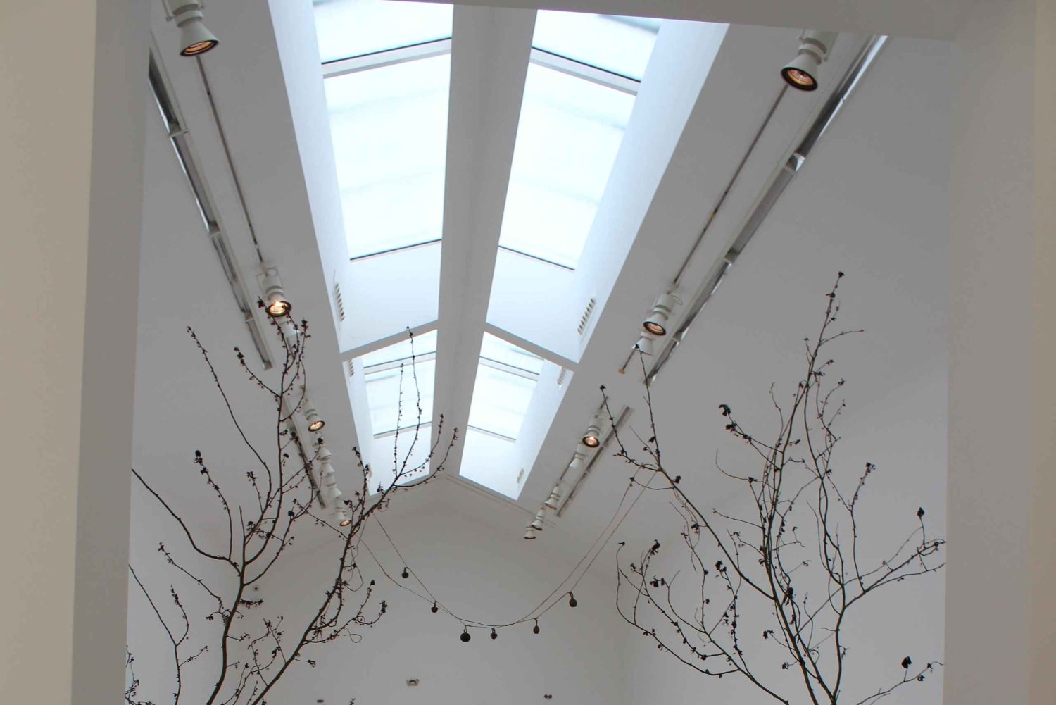 Париж: Галереи современного искусства в Маре с художником