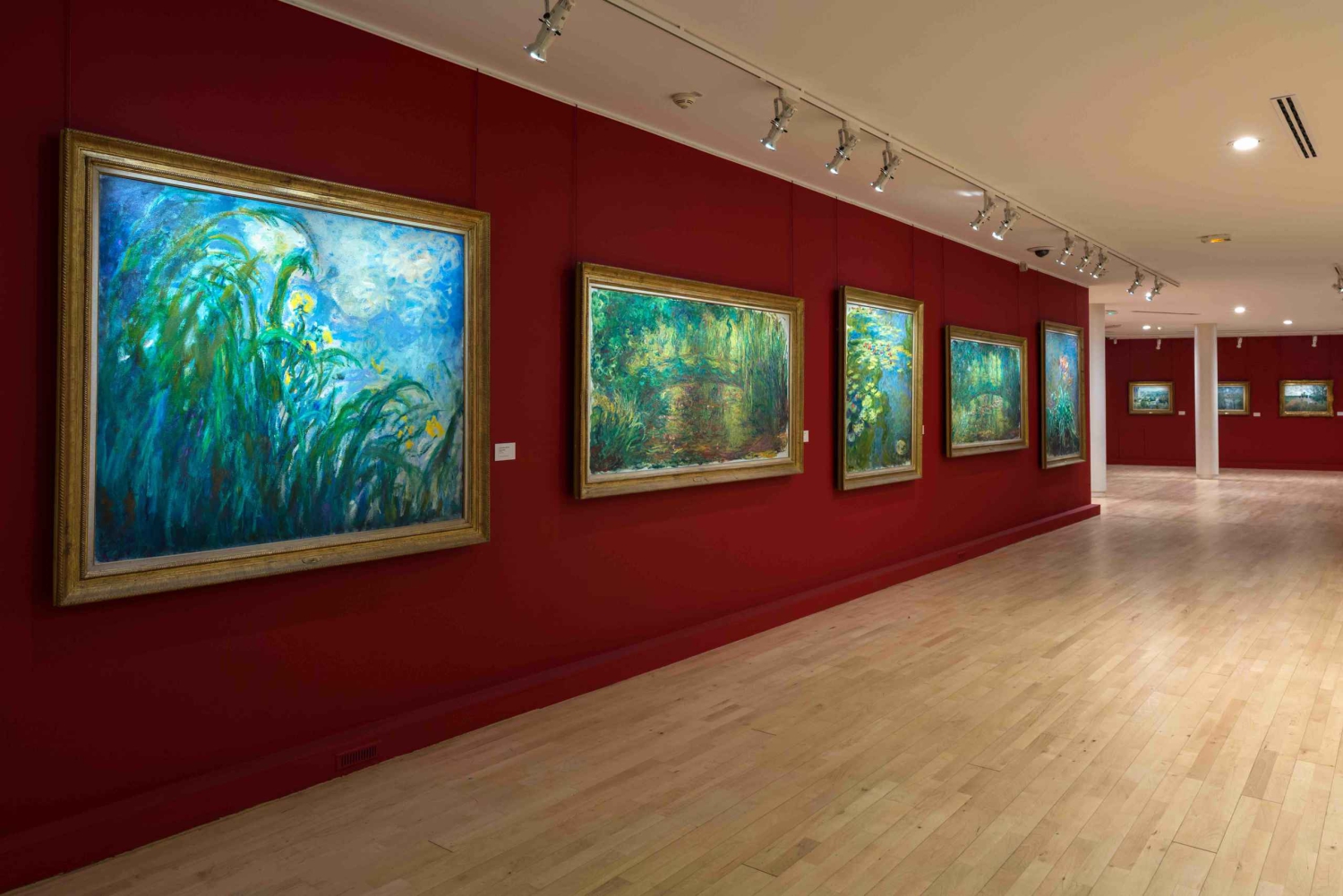 Paris : Musée Marmottan Monet Visite guidée en coupe-file