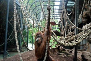 Paris: Entrébillet til Ménagerie Zoo of Jardin des Plantes