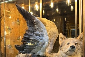 Paris: Monster i Paris – rundvandring, Halloween-utgåva