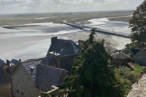 Pariisi: Michel päiväretki yksityisen kuljettajan kanssa.