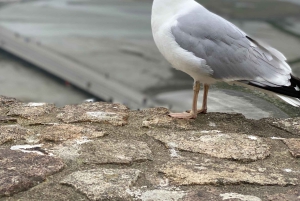 Pariisi: Michel päiväretki yksityisen kuljettajan kanssa.