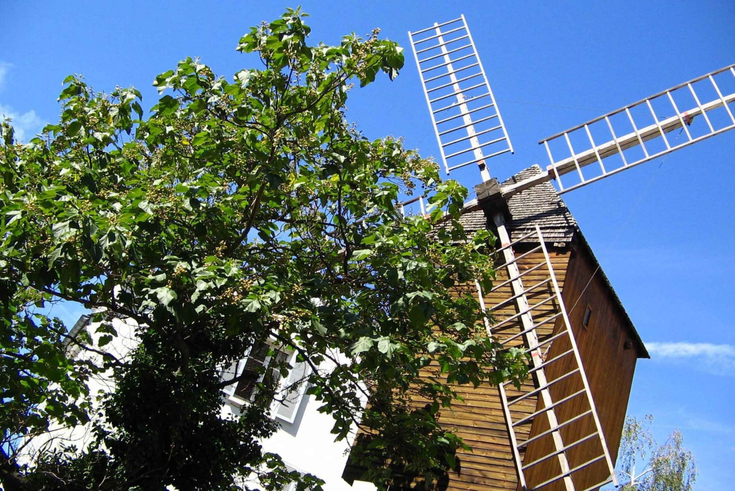 Paris: Montmartre Private Walking Tour