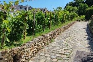 Paris: Montmartre Walking Tour with Pastry Tasting