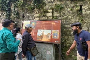 Paris: Montmartre Walking Tour with Pastry Tasting