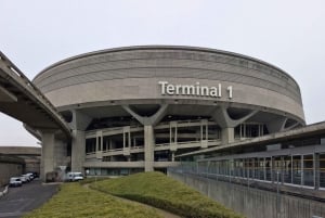 Paris: Navette aéroport pour Paris centre van 7 places