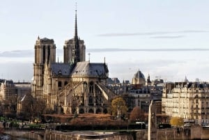 Paris : visite audio de Notre-Dame avec billet pour la crypte