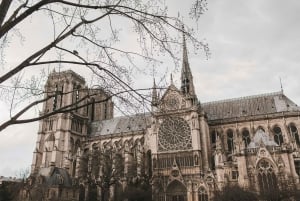 Paris: Notre Dame Cathedral Entry with Tour of the Exterior