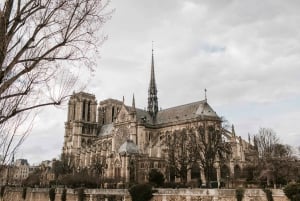 Paris: Notre Dame Cathedral Entry with Tour of the Exterior