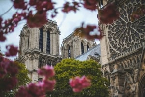 Paris: Notre Dame Cathedral Entry with Tour of the Exterior