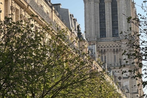 Paris: Notre-Dame Cathedral Guided Tour with Group Access