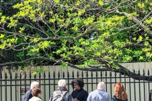 Paris: Omvisning i Notre Dame-katedralen og båttur på Seinen