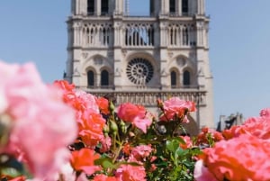 Paris: Notre Dame Exterior Tour with Sainte Chapelle