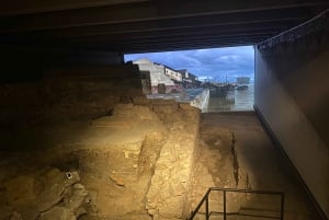 Paris: Notre Dame Outdoor Walking Tour with Crypt Entry