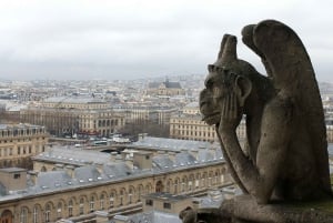 Paris: Notre Dame Reserved Access & Interior Guided Visit