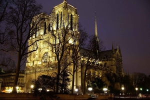 Paris: Notre-Dame Reserved Access with Exterior Guided Tour