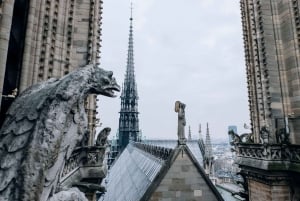 パリ：ノートルダム大聖堂修復の歴史を巡るガイド付きツアー