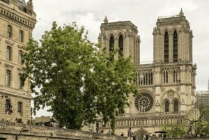 Parijs: VIP-privétour naar de Notre-Dame