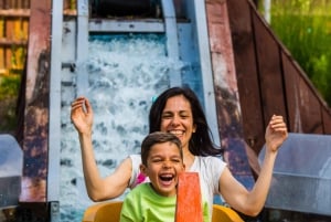 Paris : billet 1 jour pour le Parc Astérix