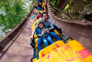 Paris : billet 1 jour pour le Parc Astérix