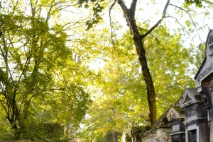 Paris: Latin Quarter Essential Highlights Walking Tour